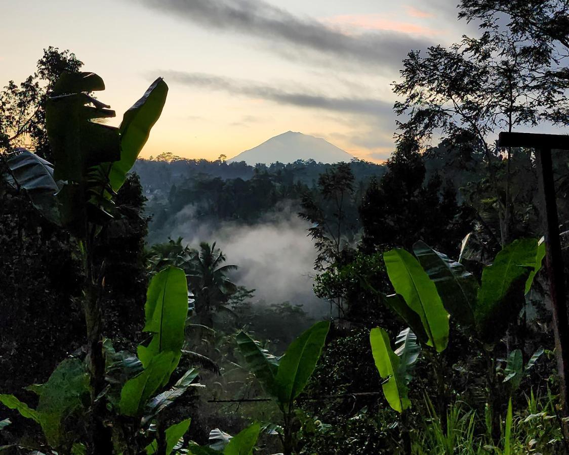 Delta Casa Ubud-Cozy Tropical Villas With Volcano View Payangan Eksteriør billede