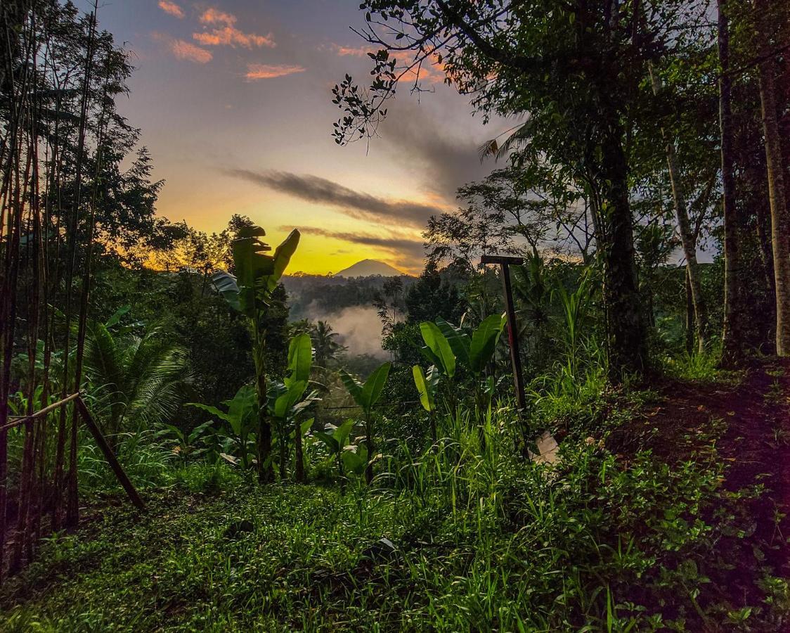 Delta Casa Ubud-Cozy Tropical Villas With Volcano View Payangan Eksteriør billede