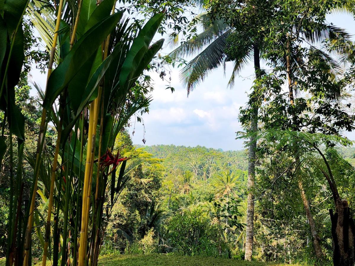 Delta Casa Ubud-Cozy Tropical Villas With Volcano View Payangan Eksteriør billede