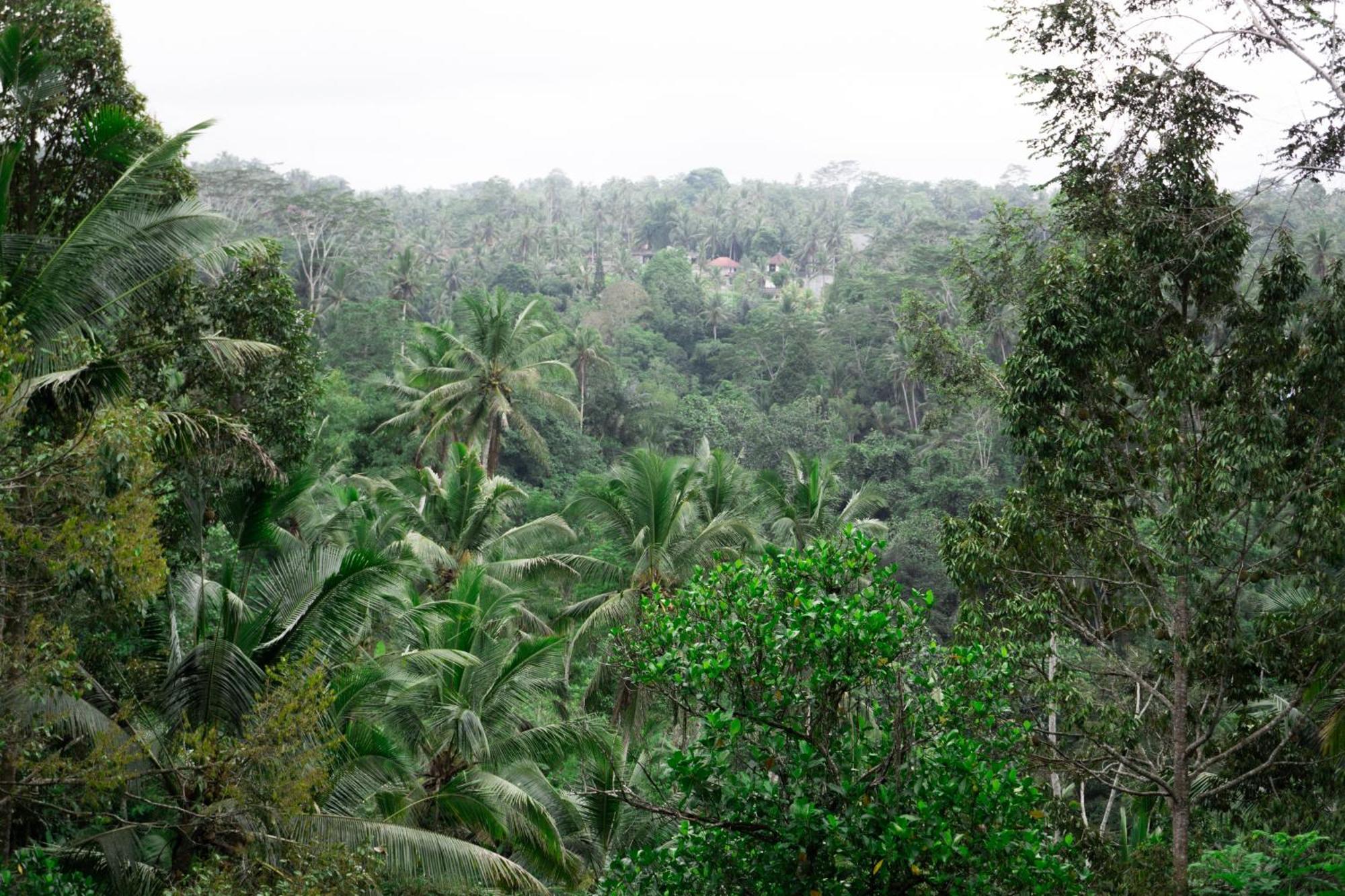 Delta Casa Ubud-Cozy Tropical Villas With Volcano View Payangan Eksteriør billede